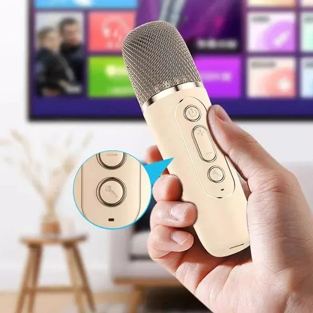 moodbox karaoke speaker with microphone